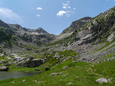 26-06-25-Petarel, P1098523