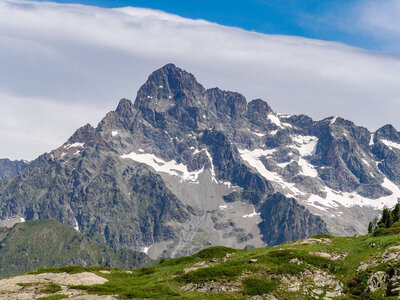 26-06-25-Petarel, P1098533