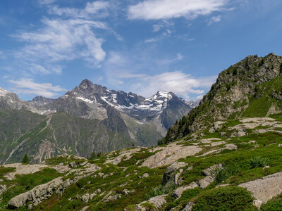 26-06-25-Petarel, P1098537