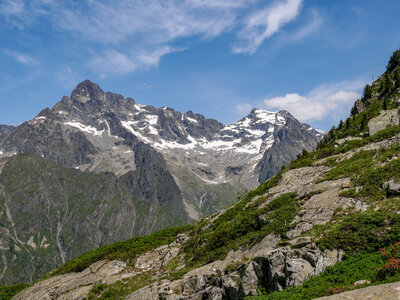 26-06-25-Petarel, P1098541