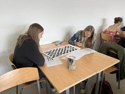 Stage Faire des mathématiques autrement, juin 2025, B-rithmo+Syracuse-2