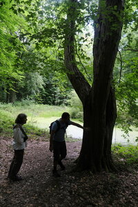 Forêt_Marly, DSCF6674
