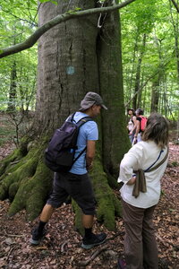 Forêt_Marly, DSCF6688