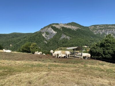 Boucle Le Laus Privat Pindreau, IMG_2302