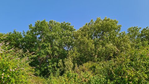 LAC LEMAN, 20250703_183035