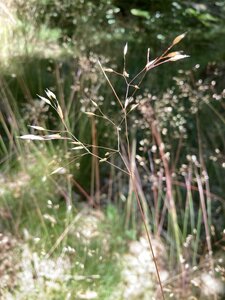 En Morvan, IMG_6390