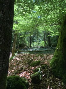 En Morvan, IMG_6391