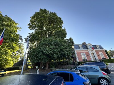 Le Rheu, IMG_2068