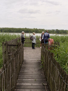 @fmbdx@piaille.fr 2025, Bègles, Gironde