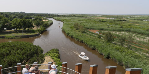@fmbdx@piaille.fr 2025, Le Teich, Gironde