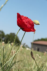 @fmbdx@piaille.fr 2025, Le Teich, Gironde