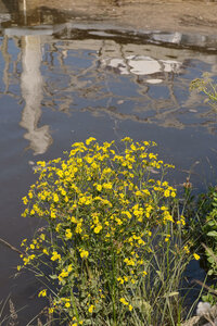 @fmbdx@piaille.fr 2025, Le Teich, Gironde