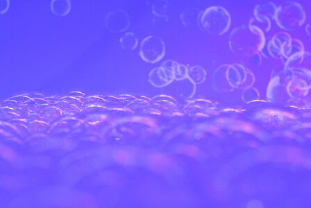 motifs, _DSC2496_m