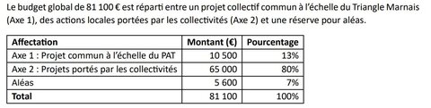 COPIL PAT, Budget global