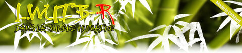 Blog, bando4