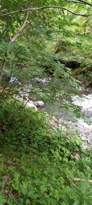 Molines en Champsaur, BCNH1509