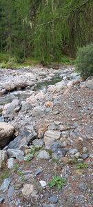 Molines en Champsaur, DDED0838