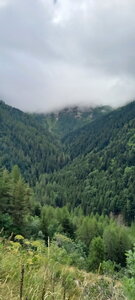 Molines en Champsaur, MFEH7417