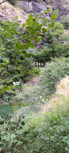 Molines en Champsaur, OPNR0554
