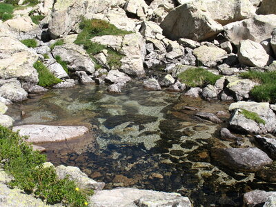 mousnier, encantats 2010 085