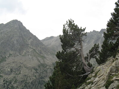 mousnier, encantats 2010 041