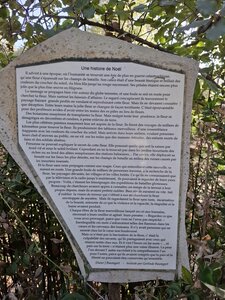 Salagou2_2024.10.31, 20241031_122848