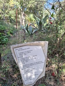 Salagou2_2024.10.31, 20241031_122913