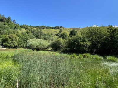 Boucle Les Aubins-Malamort-Nompartie, IMG_2402