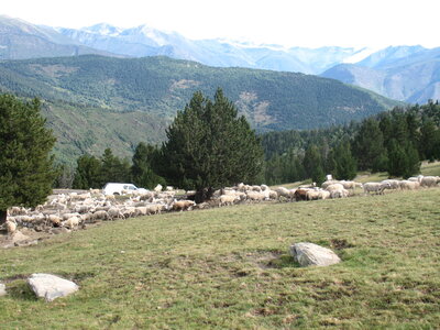 mousnier, encantats 2010 112