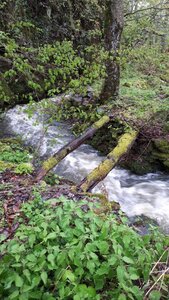 Moulins de Blanlhac et d'aval, Petit moulin-l&rsquo;arri&egrave;re
