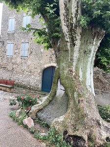 AIX EXPOS CARCASSONNE NARBONNE GRUISSAN AVIGNON, 0072