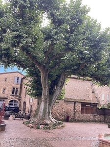 AIX EXPOS CARCASSONNE NARBONNE GRUISSAN AVIGNON, 0073