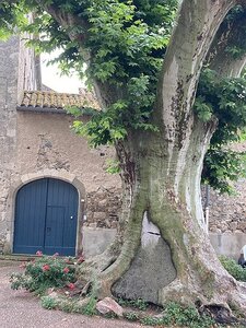 AIX EXPOS CARCASSONNE NARBONNE GRUISSAN AVIGNON, 0074