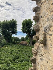 AIX EXPOS CARCASSONNE NARBONNE GRUISSAN AVIGNON, 0094