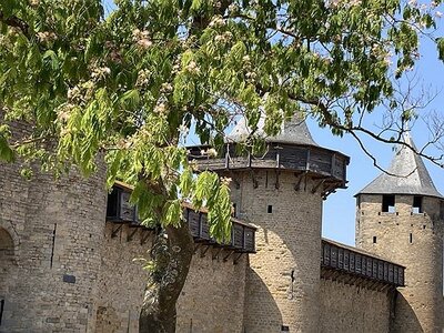 AIX EXPOS CARCASSONNE NARBONNE GRUISSAN AVIGNON, 0138