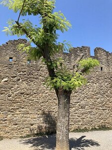 AIX EXPOS CARCASSONNE NARBONNE GRUISSAN AVIGNON, 0139