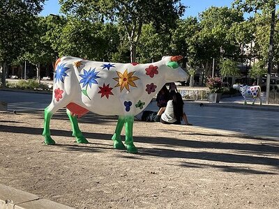 AIX EXPOS CARCASSONNE NARBONNE GRUISSAN AVIGNON, 0225