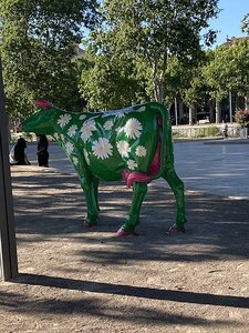 AIX EXPOS CARCASSONNE NARBONNE GRUISSAN AVIGNON, 0226