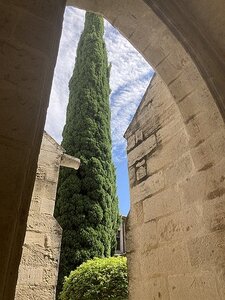 AVIGNON SUITE ET FIN, 0301