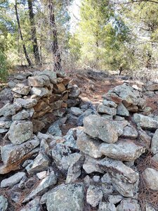 Les Orris de Campoussy, 67_Orri_Ca_67