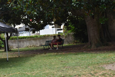 TRANSES CEVENOLES 2025, DSC_0511
