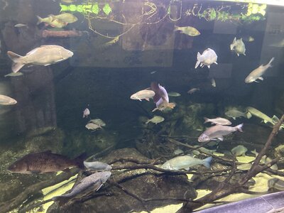 Paris au mois d'Août 2025 expos, Aquarium de Paris