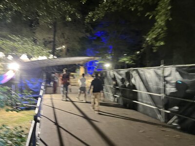 Musicalarue 2025, IMG_6480 photo