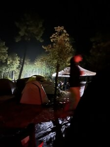 Musicalarue 2025, IMG_6484 photo