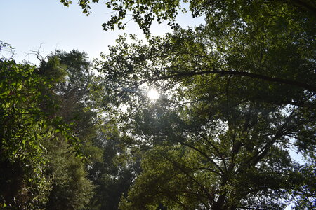 MIMA 2025, DSC_0017