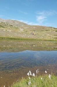 Grand Lac de l'Oule, 20250814_100655