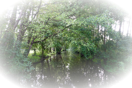 Marais Poitevien, DSC00052-vig