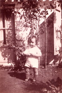 Famille Brouhard, 1935_JeanPierre_Brouhard_800_140_C