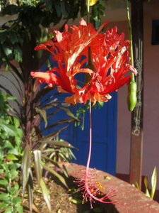 2007 Cuba , cuba2007372