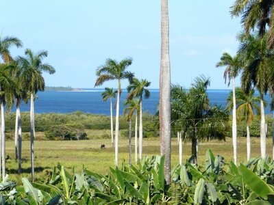 2007 Cuba , cuba2007181